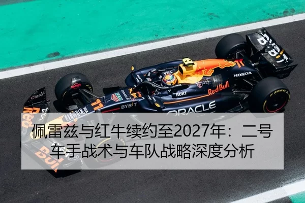 pei-lei-zi-yu-hong-niu-xu-yue-zhi-nian-er-hao-che-shou-zhan-shu-yu-che-dui-zhan-lve-shen-du-fen-xi-2-591.jpg