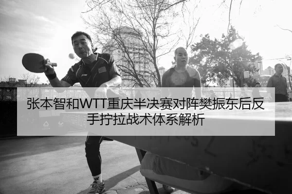 张本智和WTT重庆半决赛对阵樊振东后反手拧拉战术体系解析